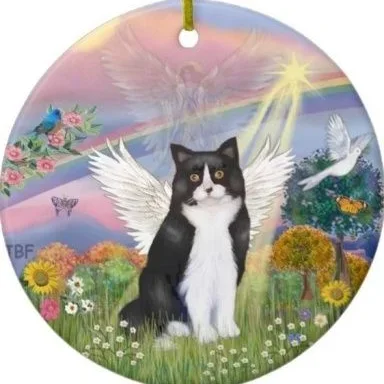 Pocket Fruity real money casino