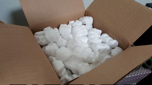 casino Jurassic Park