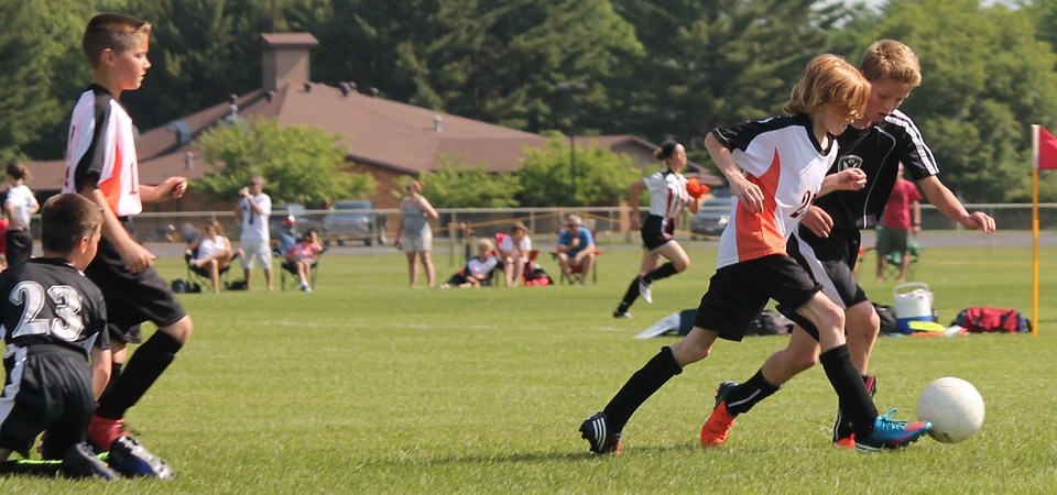 formula 1 french grand prix