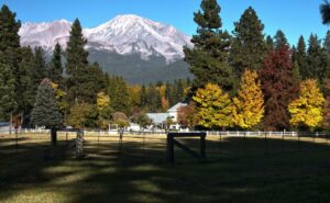 Eurogrand top online casino