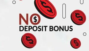 wildsino registration