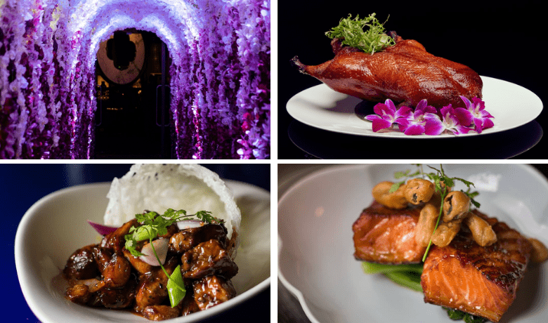 no deposit bonus codes for royal ace casino