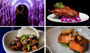 Boom online casino cash advance