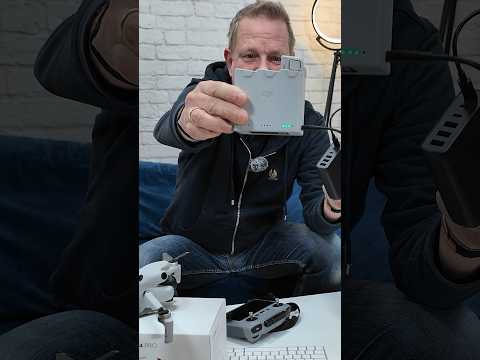 wildsino casino login