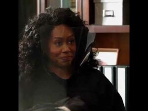 spin rise spin vs traditional spin