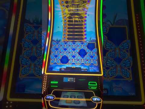 SpinRise Deutschland