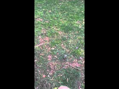 SpinRise casino offizielle Seite