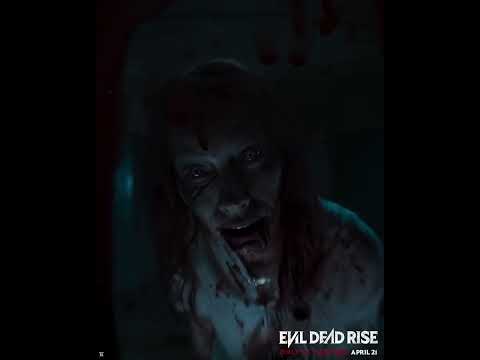 SpinRise casino bonuses