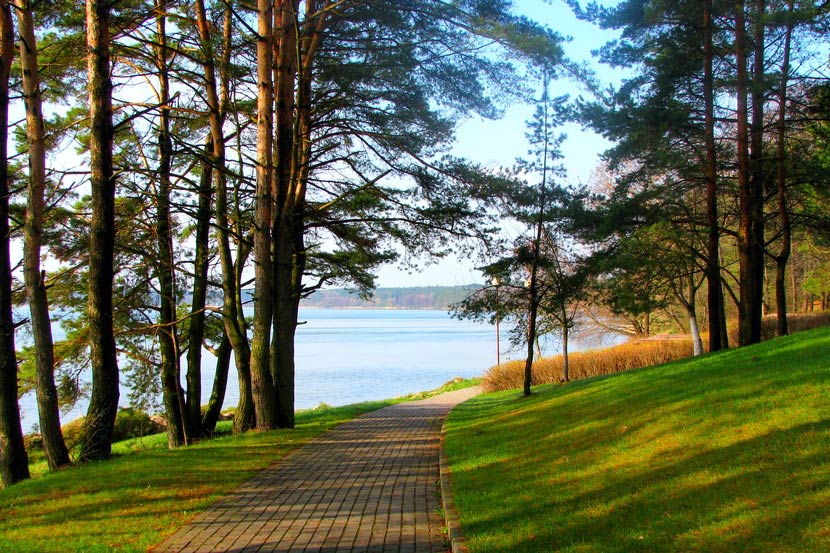 jack beanstalk máquina tragamonedas