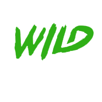 casino wildsino