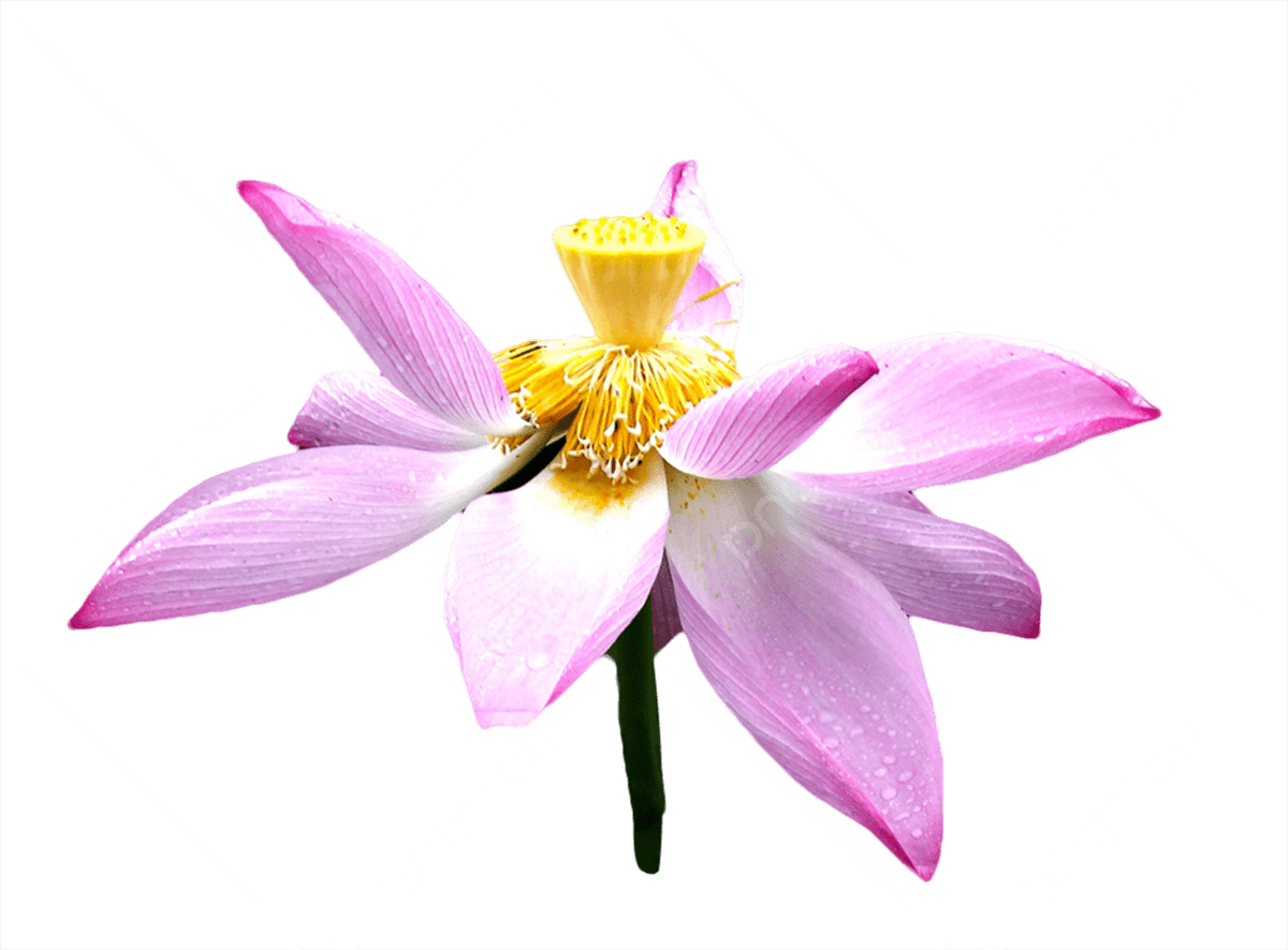 лото клуб казино